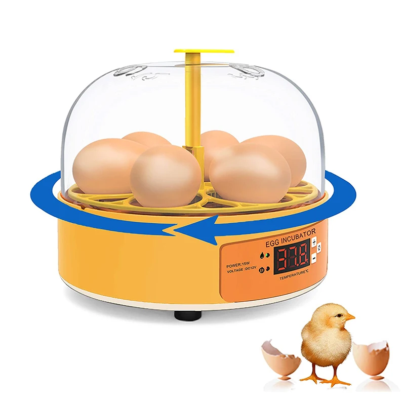 Quail Egg Incubator - Broedmachine Kip Eend Gans 6 Eieren