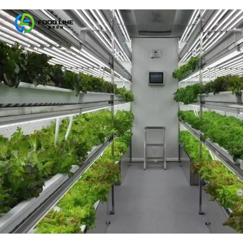 Agriculture Vertical Farming - Op maat gemaakte slimme verticale NFT