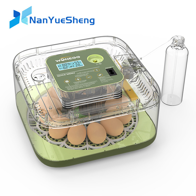 Quail Egg Incubator - Nieuwe 12 Kuiken Ei Broederij Machine