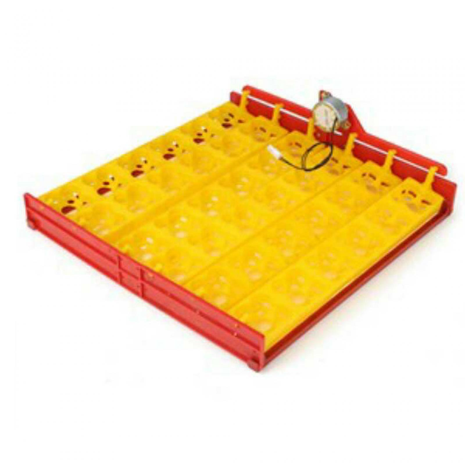 Quail Egg Incubator - Ei-incubatietray van plastic met automatische draaimotor,