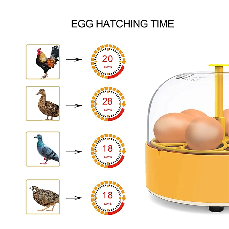 Broedmachine Kip Eend Gans 6 E - Quail Egg Incubator recensie en prijs