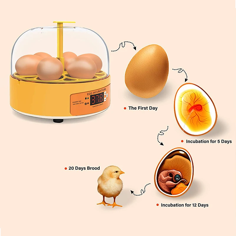 Broedmachine Kip Eend Gans 6 E - Quail Egg Incubator recensie en prijs