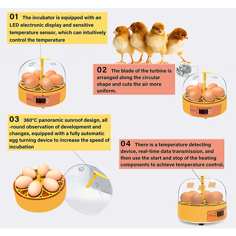 Broedmachine Kip Eend Gans 6 E - Quail Egg Incubator recensie en prijs
