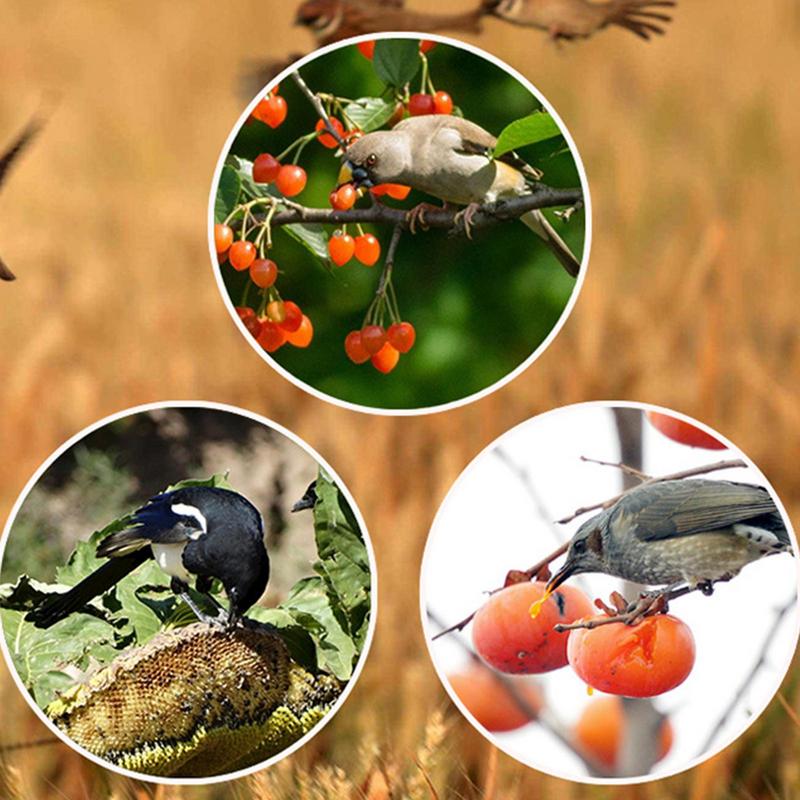 Zonne-timer Vogelverjager met  - Solar Bird Scarer recensie en prijs