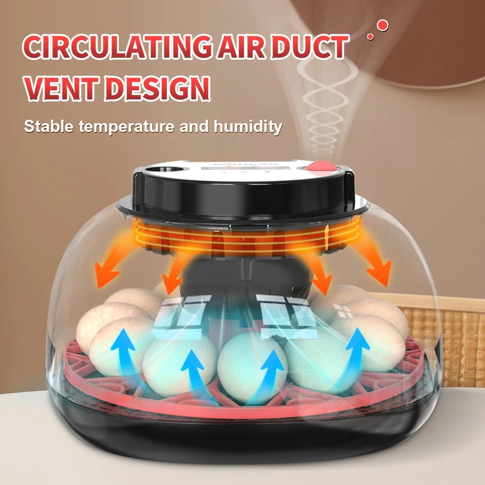 12-eierbroedmachine met automa - Quail Egg Incubator recensie en prijs