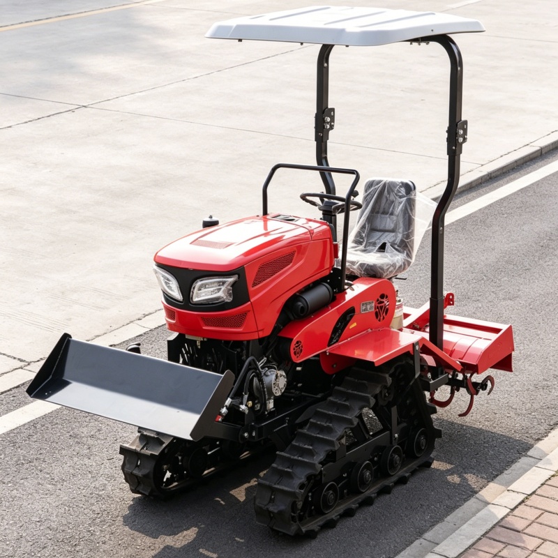 Op maat gemaakte 2026 Hot-sell - Agriculture Farming Tractor recensie en prijs