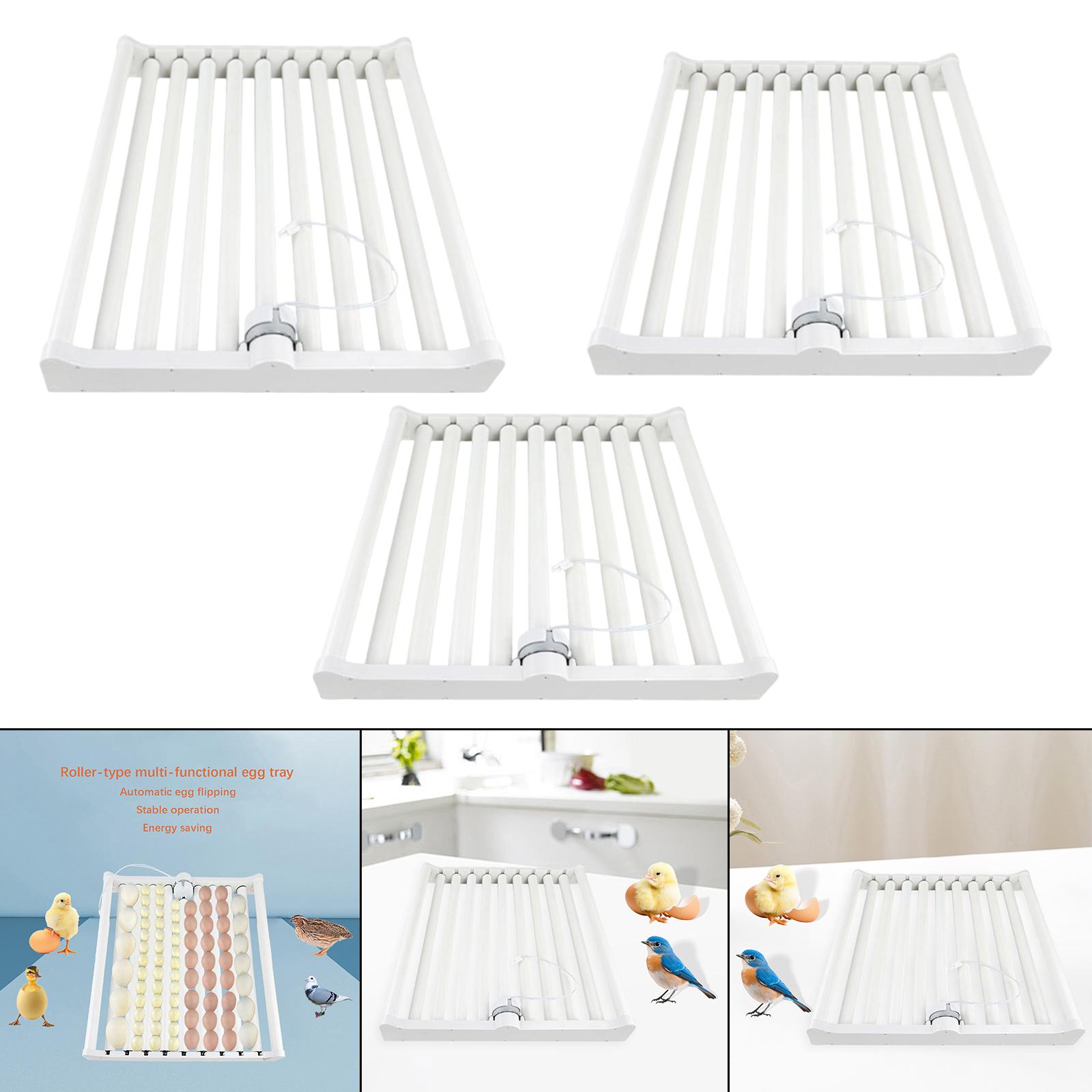 Lichtgewicht PP automatische e - Quail Egg Incubator recensie en prijs