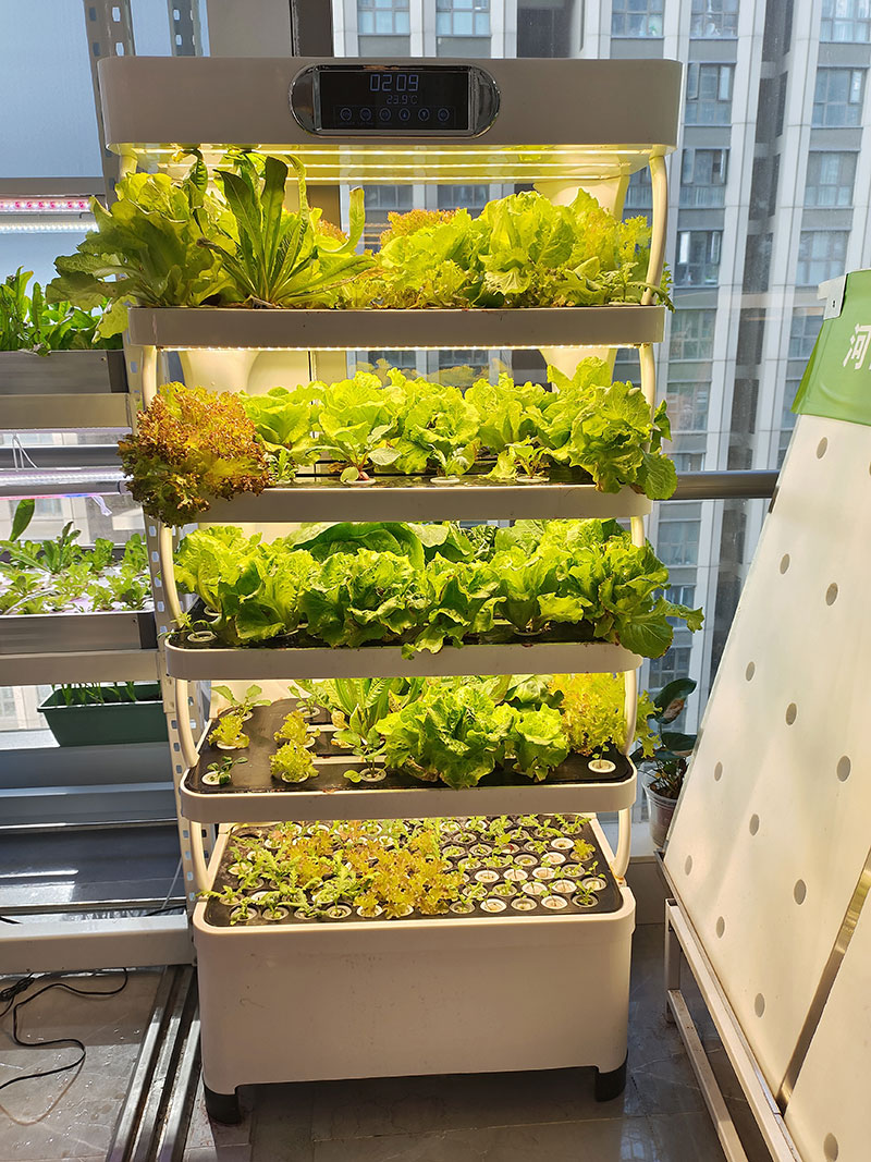 c Landbouwmachine voor het kwe - Agriculture Vertical Farming recensie en prijs