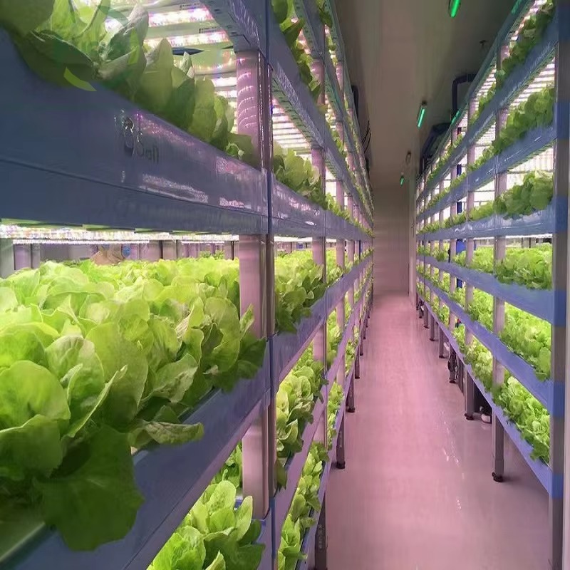 Klantspecifieke landbouwkassen - Agriculture Vertical Farming recensie en prijs
