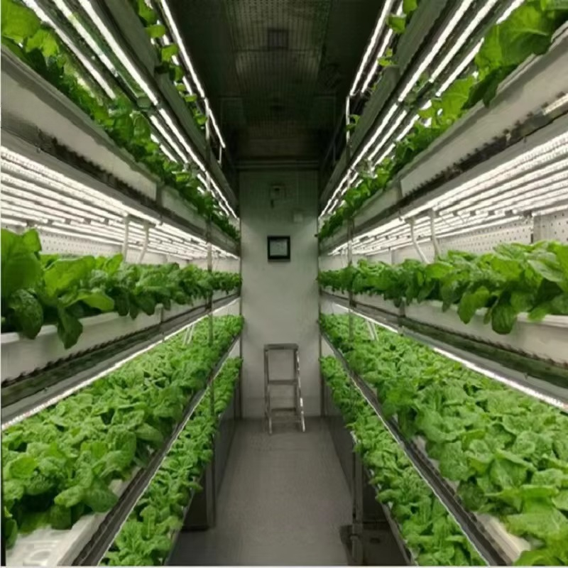 Klantspecifieke landbouwkassen - Agriculture Vertical Farming recensie en prijs
