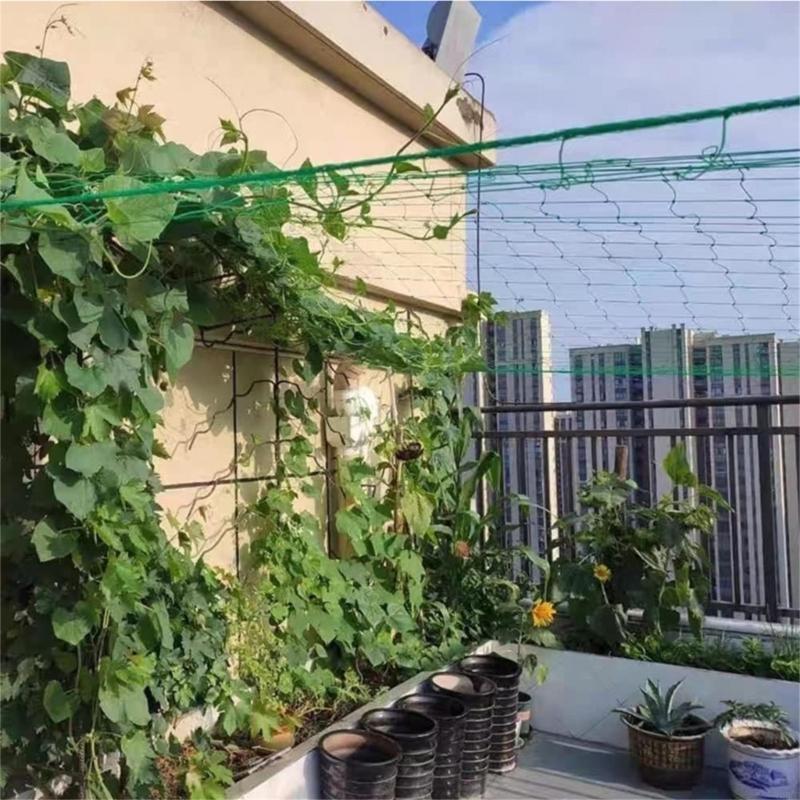 62KD Plant Trellis Netting voo - Agriculture Farming Net recensie en prijs
