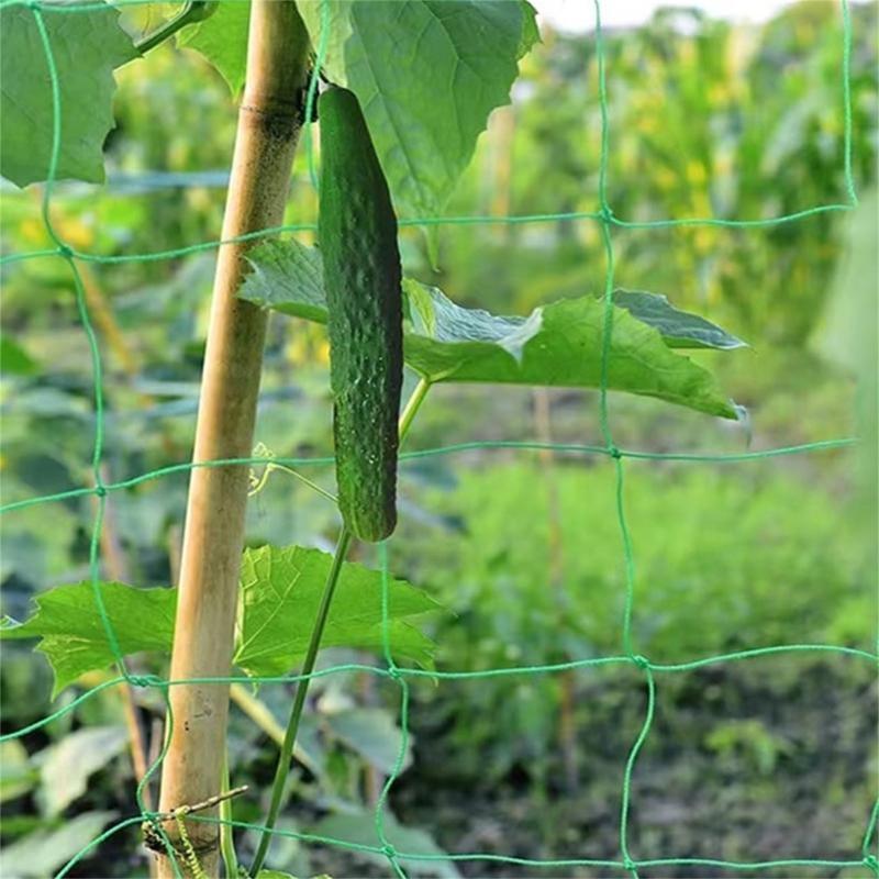 62KD Plant Trellis Netting voo - Agriculture Farming Net recensie en prijs