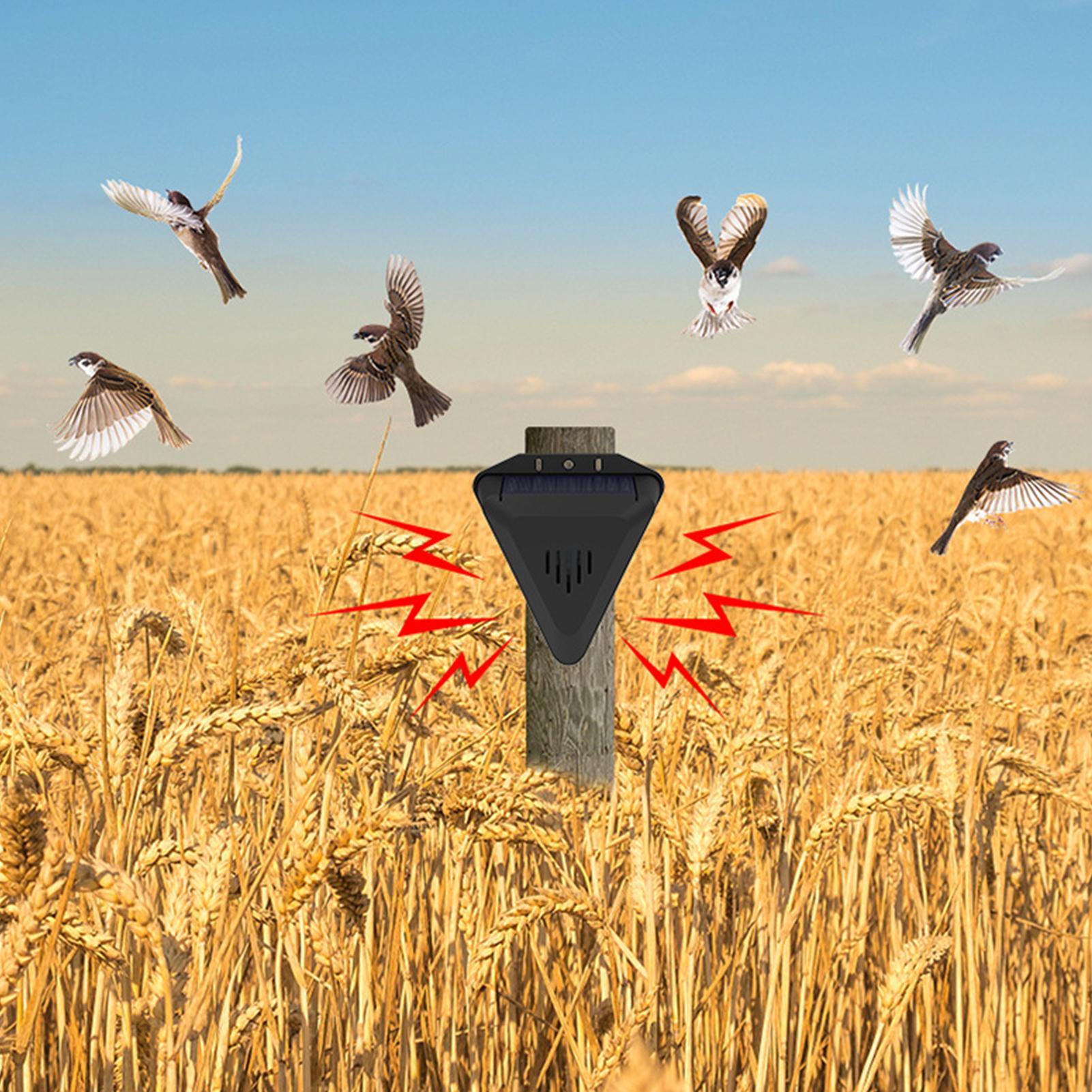 Waterdichte zonne-aangedreven  - Solar Bird Scarer recensie en prijs