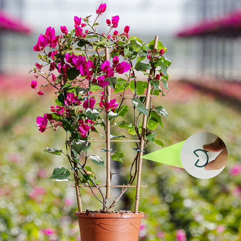 50/100 stuks Tuinplantclips Wi - Agriculture Vertical Farming recensie en prijs
