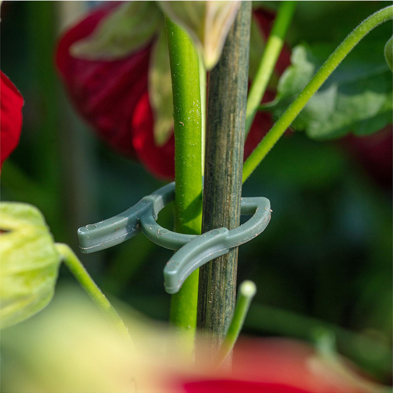50/100 stuks Tuinplantclips Wi - Agriculture Vertical Farming recensie en prijs